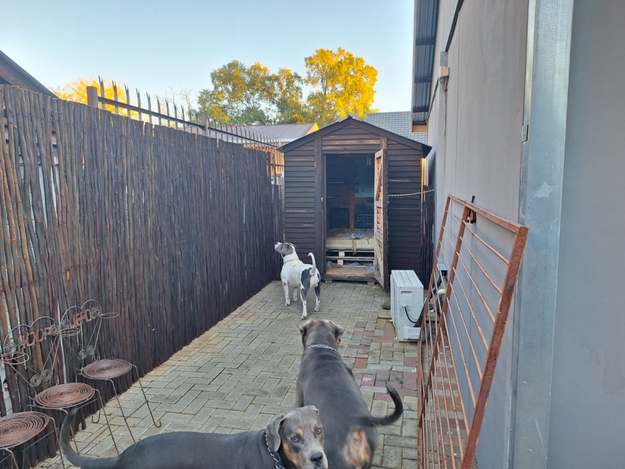 To Let 3 Bedroom Property for Rent in Fichardt Park Free State